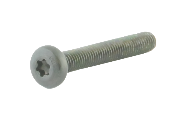 Spuhr screw M5x35 Tx20 - 5 pieces